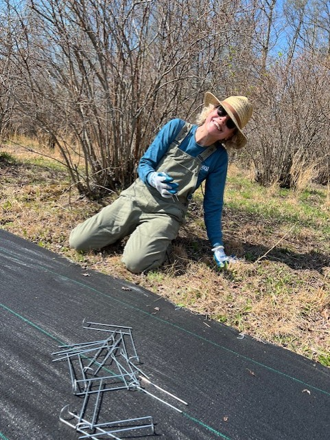 A woman wearing overalls and a sunhat driving metal staples to secure landscape fabric to the ground. 